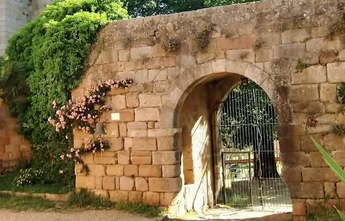 El Olivo Guijo de Granadilla